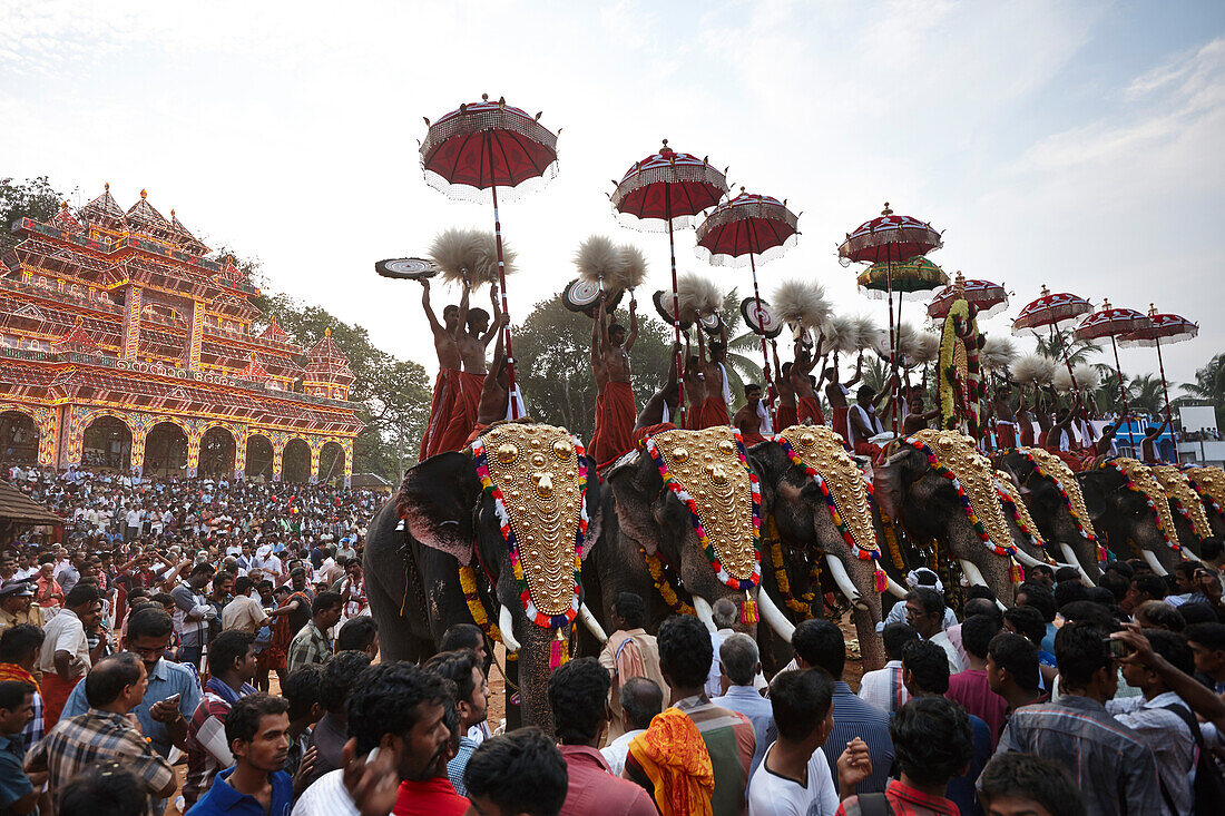 Decorated elephants in the midst of a huge crowd of men, illuminated timber scaffolding Aana Pandal in the back, Nemmara Vela, Vela Festival takes place in summer after harvest, Hindu temple festival in the village Nemmara near Pallakad, Kerala, India