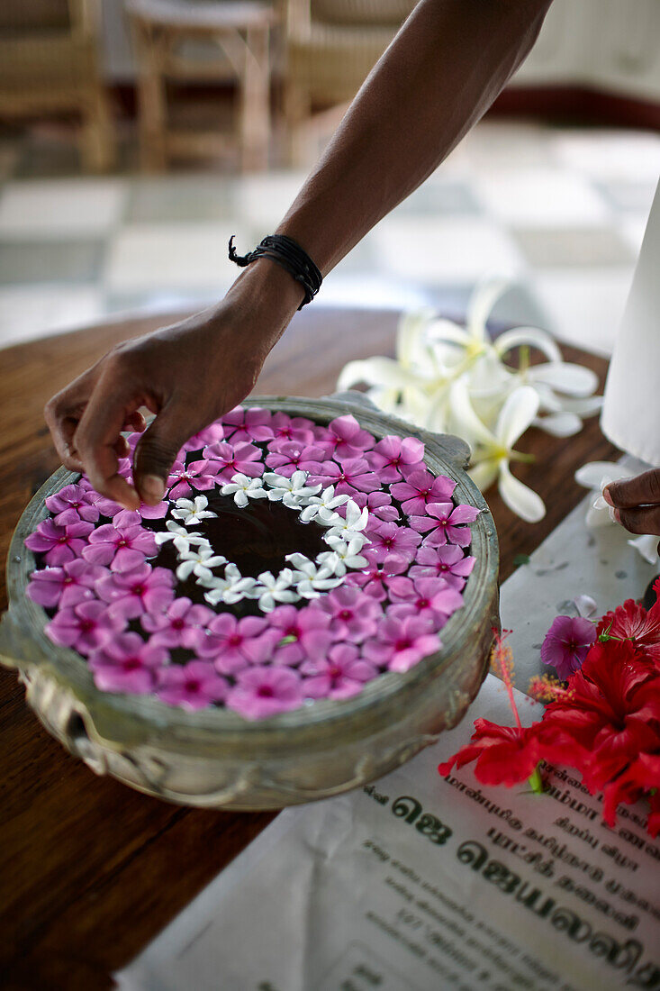 Blumenschmuck, anstatt Straeussen werden Blüten auf die Wasseroberflaeche einer Schale gelegt, ayurvedisches Hospital und Luxushotel Kalari Kovilakom, Kollengode, nahe Palakkad, Kerala, Western Ghats, Indien