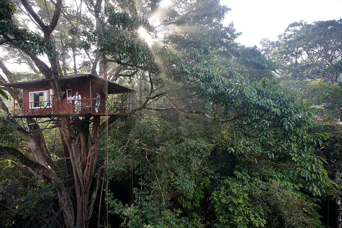 Baumhaus Room 601, Treehouse 1 des Vythiri Resort, bei Lakkidi, Wayanad, nordoestlich Kozhikode, Kerala, Western Ghats, Indien