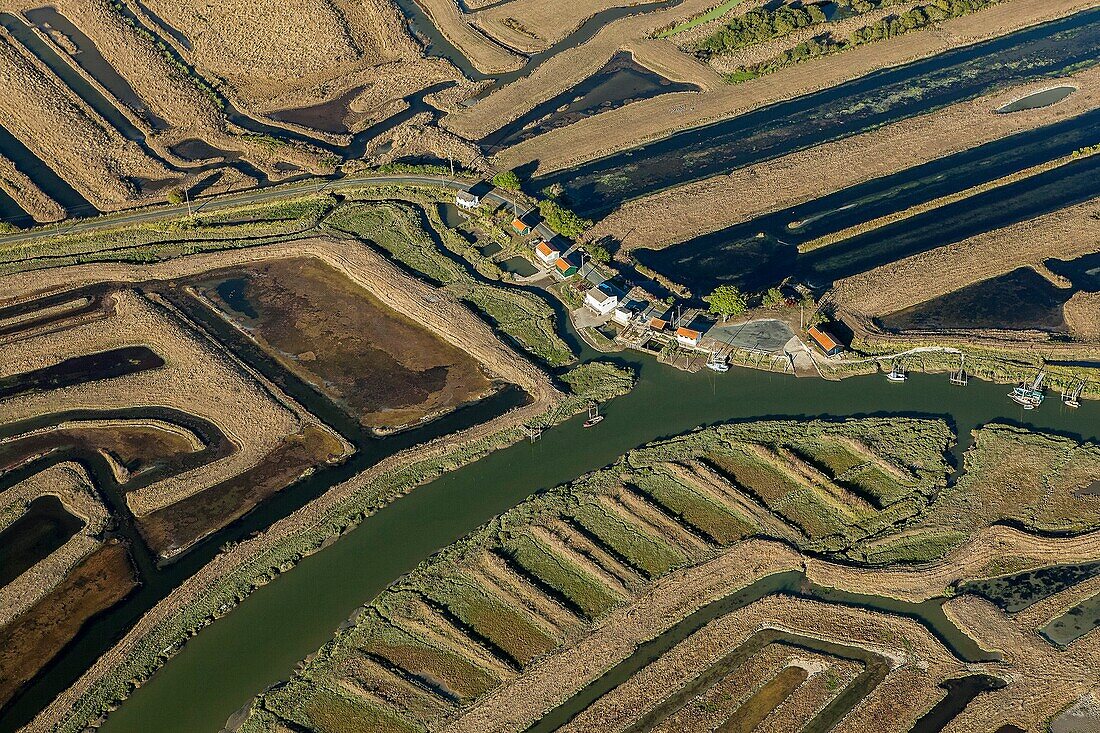 France, Charente-Maritime, Poitou-Charente, near Nieulle-sur Seudre, aerial view of the salt marsh, Port Paradis