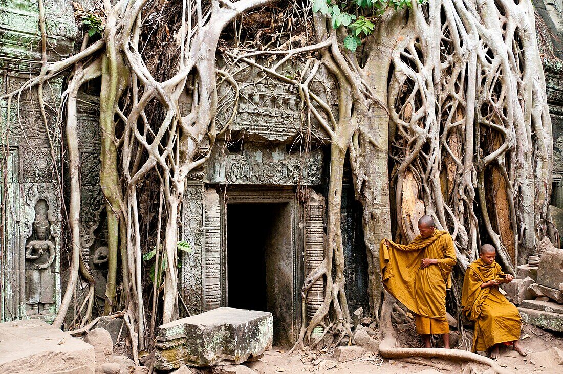 Camdodia, Siem Reap Province, Siem Reap Town, Angkor Temples, Site World Heritage of Humanity by Unesco in 1992, Ta Prohm temple (end of 12th century), monks