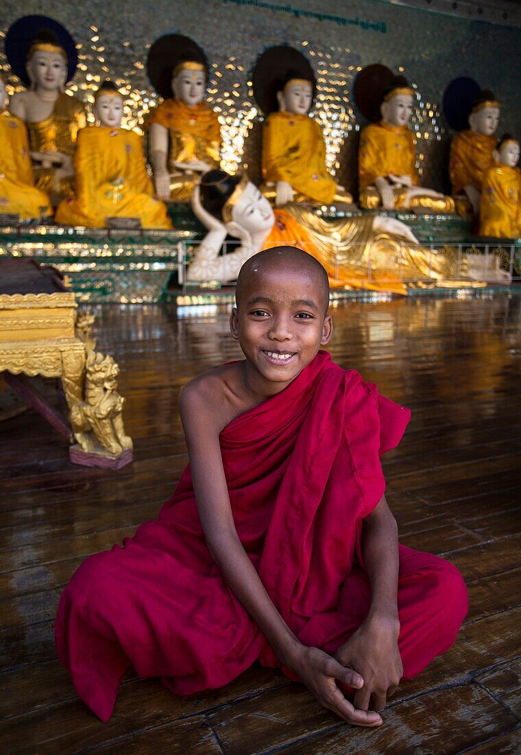 Myanmar, Yangon City,Shwedagon Pagoda, young monk