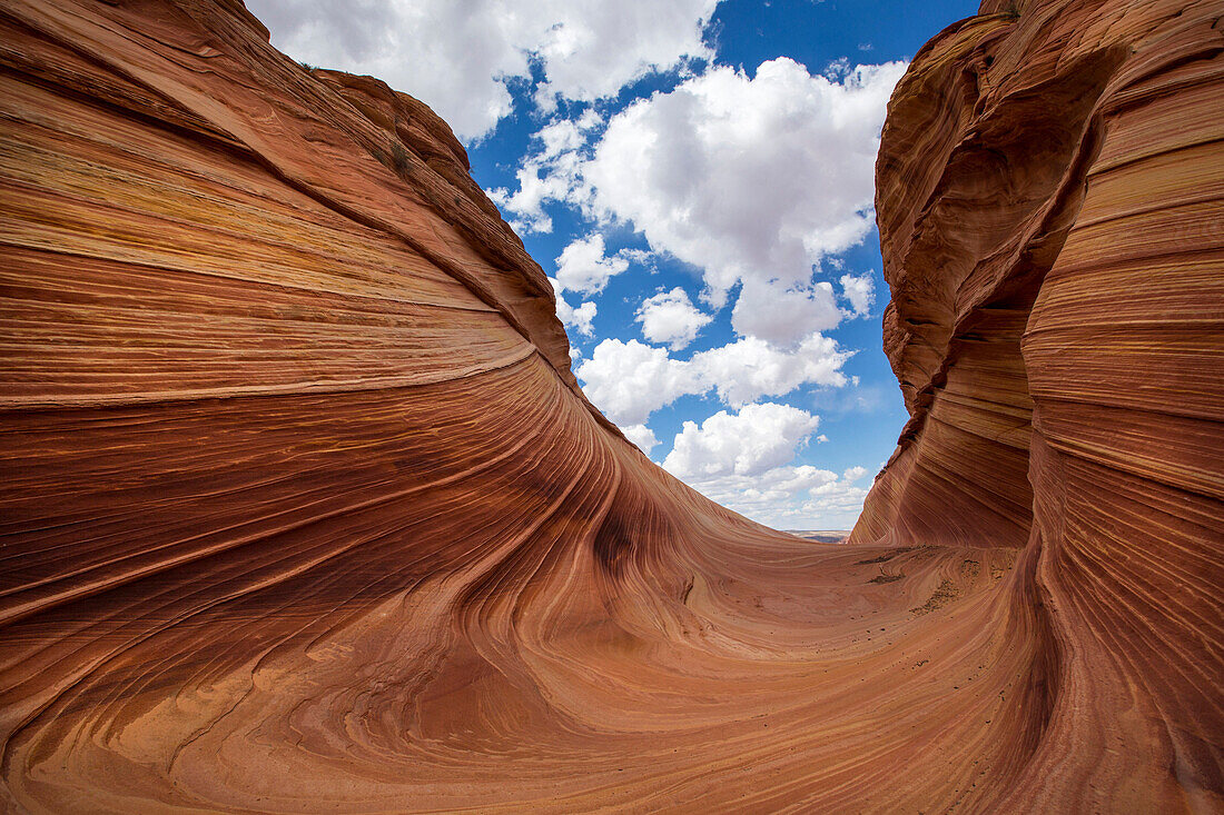 Grooves in desert rock formations, Coyote Buttes, North Coyote Buttes, United States