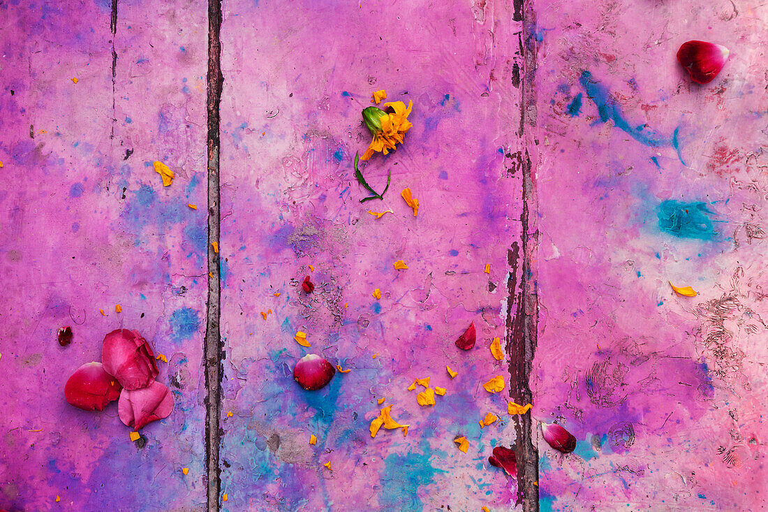 Discarded flowers on painted planks
