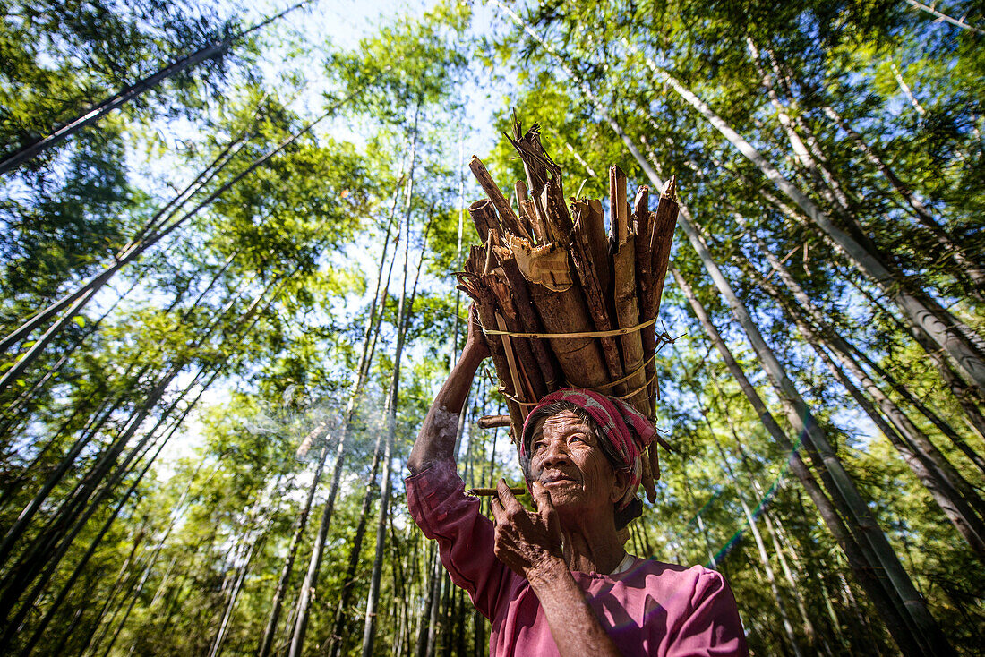 Low angle view of Asian man carrying stick bundle on her head