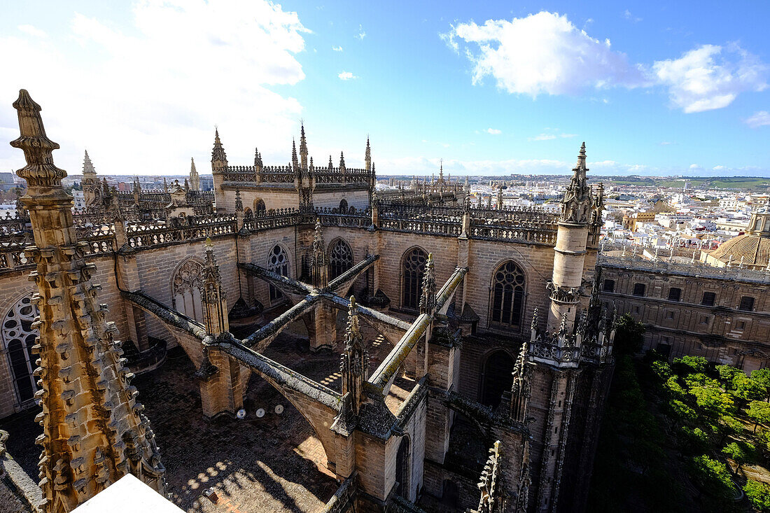 Seville Cathedral seen from Giralda bell tower, UNESCO World Heritage Site, Seville, Andalucia, Spain, Europe