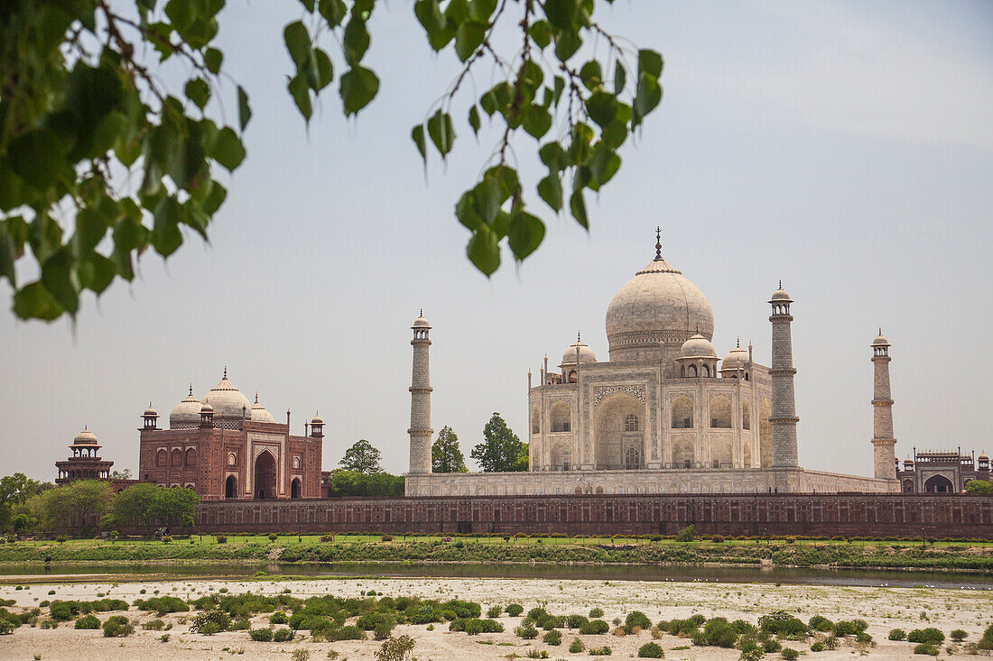 The Taj Mahal, UNESCO World Heritage Site, Agra, Uttar Pradesh, India, Asia