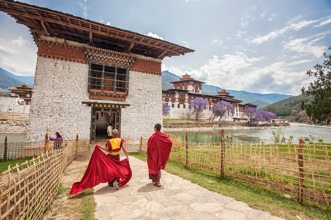 Two monks dressed in traditional red access the Punakha Dzong a former monastery in the town of Punakha, Bhutan, Asia