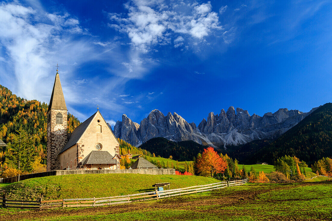 Church of St. Magdalena immersed in the colors of autumn, with the Odle Mountains in the background, Val di Funes, South Tyrol, Italy, Europe