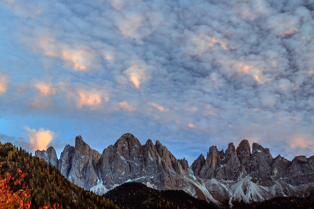 View of  the Odle Mountains from St. Magdalena village in autumn, Val di Fune, South Tyrol, Dolomites, Italy, Europe