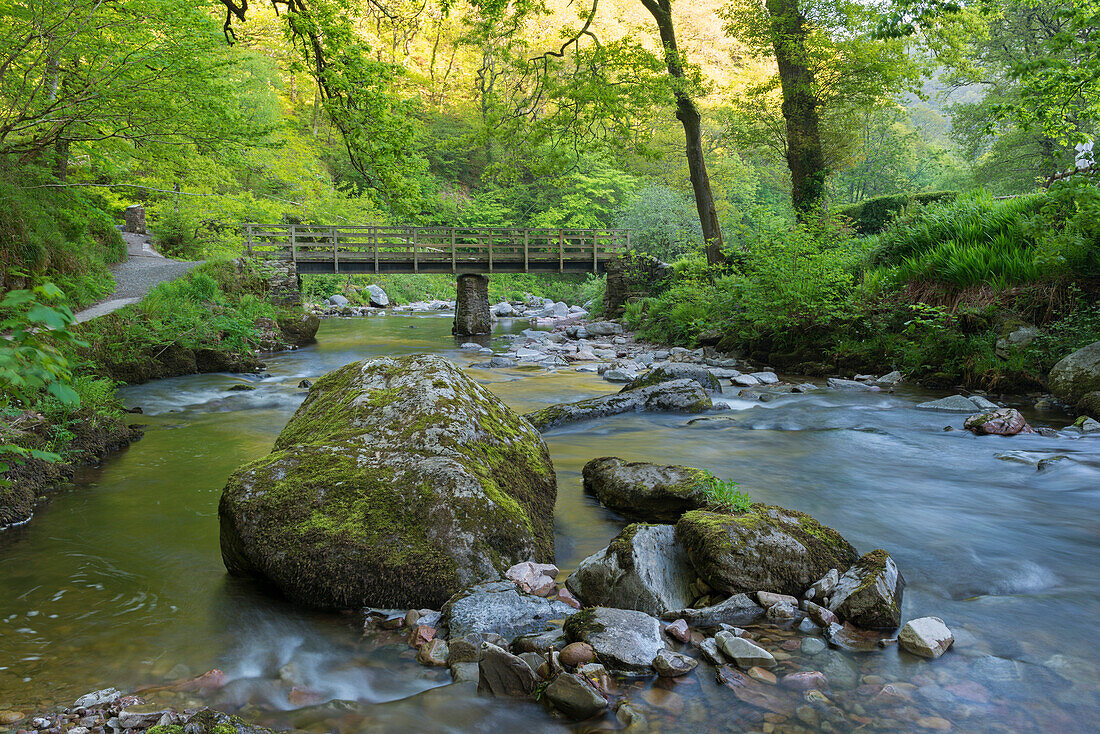 Wooden bridge over the East Lyn River at Watersmeet in spring, Exmoor National Park, Devon, England, United Kingdom, Europe