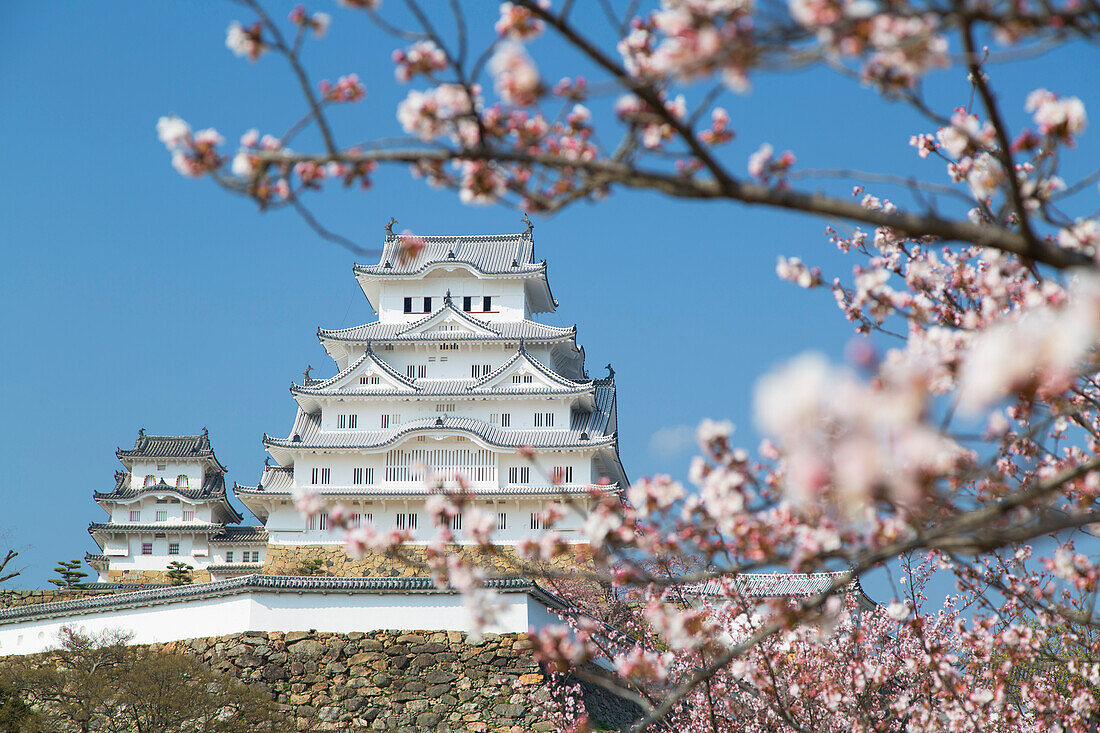 Himeji Castle, UNESCO World Heritage Site, Himeji, Kansai, Honshu, Japan, Asia