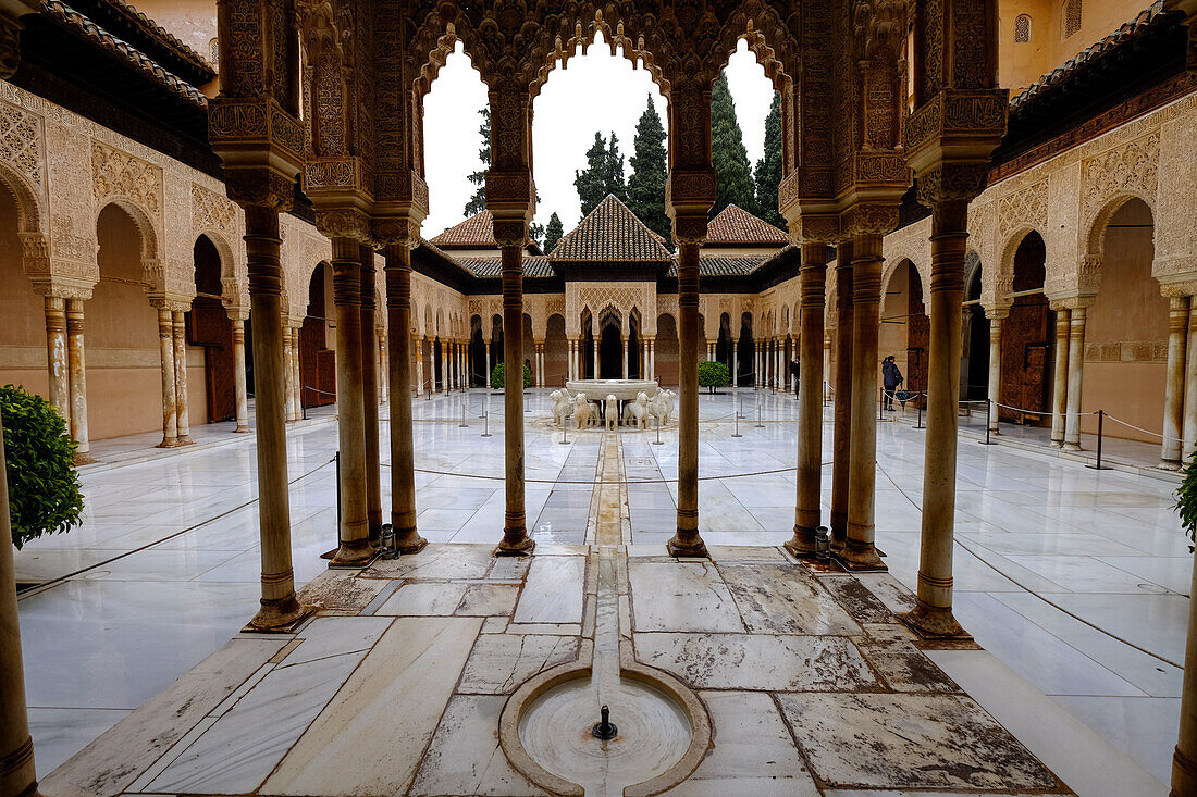 Palace of the Lions (Palacio de los Leones), The Alhambra, UNESCO World Heritage Site, Granada, Andalucia, Spain, Europe