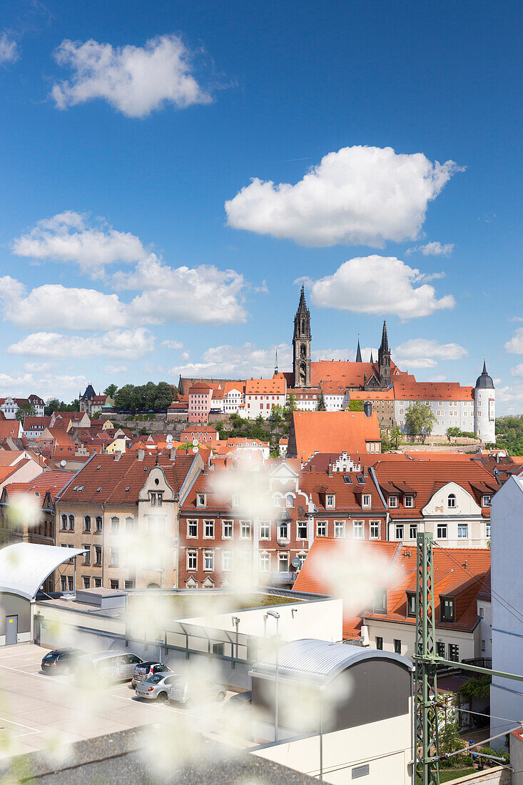 der Meißner Dom und die Albrechtsburg auf dem Burgberg prägen die Silhouette von Meissen, Meißen, Sachsen, Deutschland, Europa