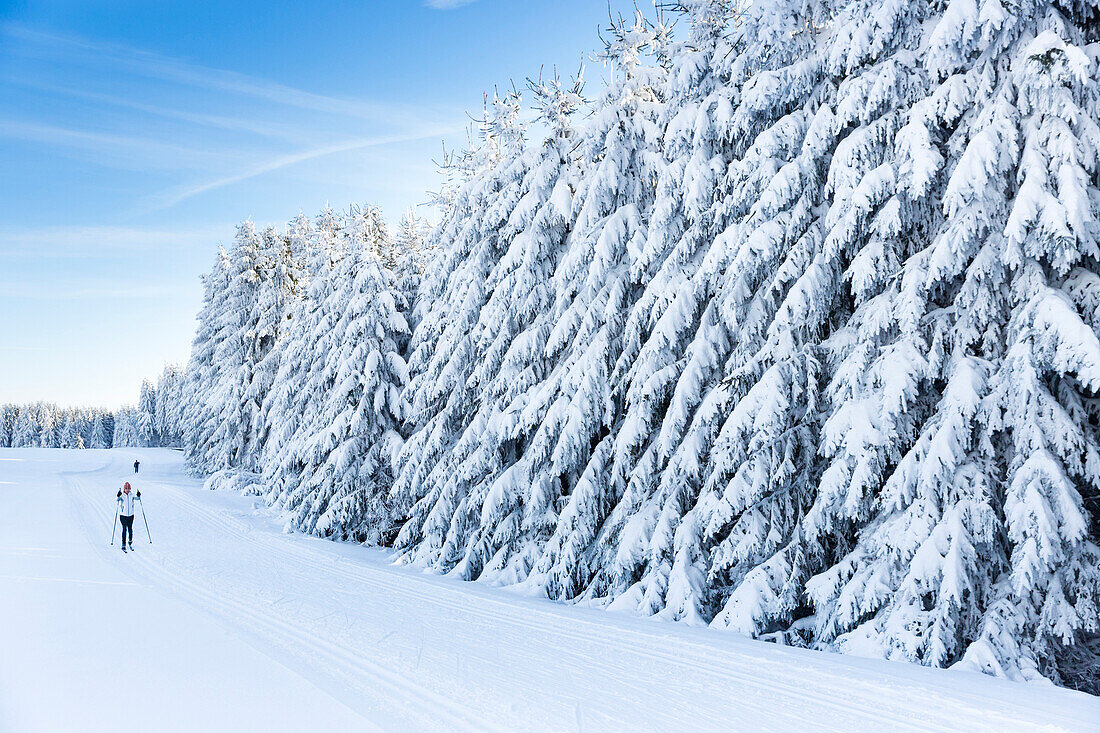 Frau fährt Ski, Skilaufen im Winterwald, Langlauf, Wintersport, MR, Holzhau, Sachsen, Deutschland