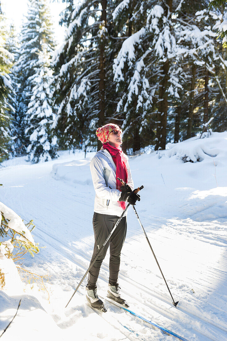 Frau fährt Ski, Durchatmen, Pause, Langlaufen im Winterwald, Loipe, MR, Holzhau, Sachsen, Deutschland