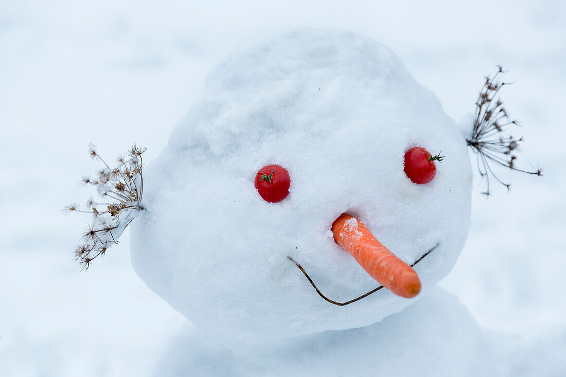 Snowman with carrot nose and tomato eyes, smiling, laughing, Winter, Holzhau, Saxony, Germany
