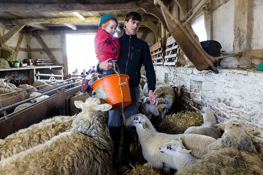 LWL-Open-Air Museum Detmold, farmer with little girl on his arm, feeding the sheep, stable, traditional buildings, Detmold, North Rhine-Westphalia, Germany