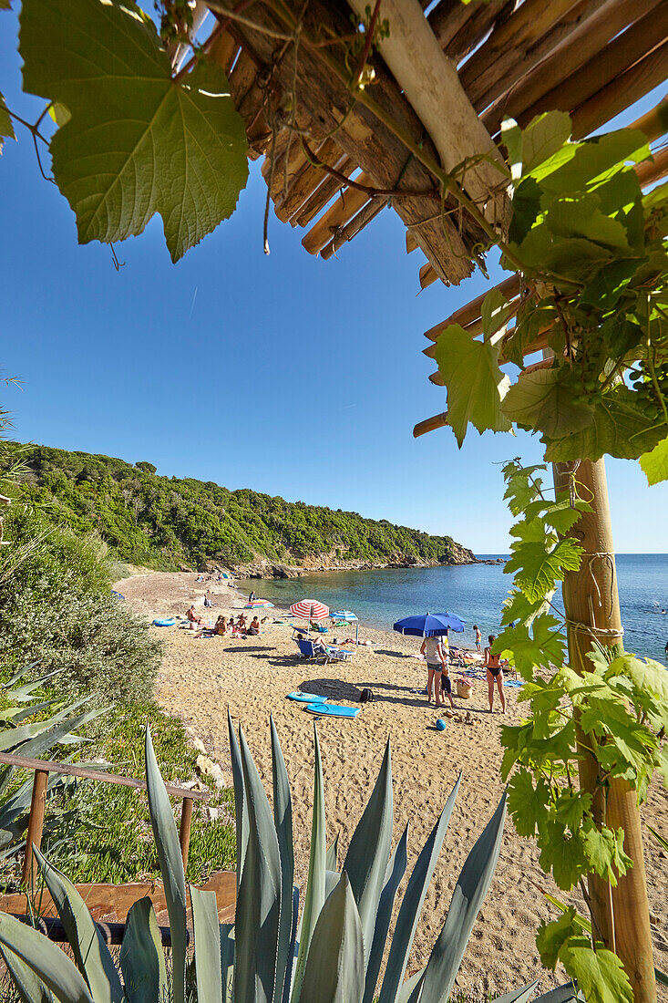 Barabarca bay, Elba, Tuscany, Italy