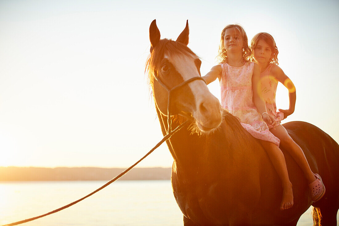 3 Mädchen auf Quarter horse am See, Starnberger See, Oberbayern, Bayern, Deutschland