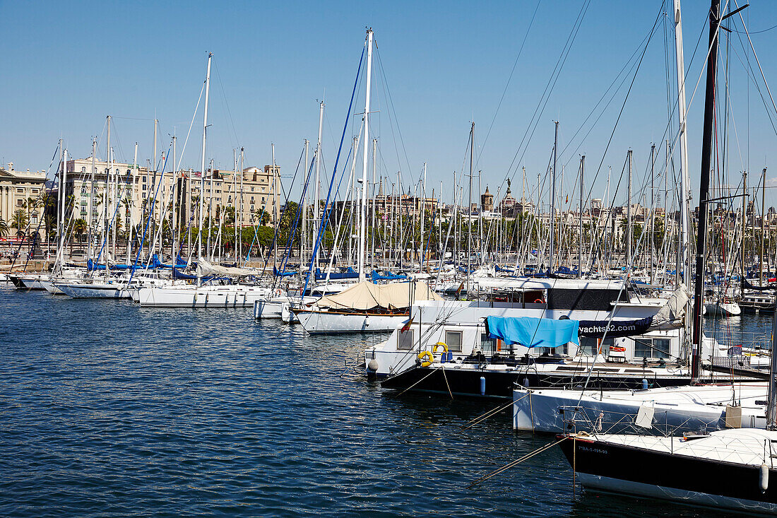 Barcelona Marina, Barcelona, Catalonia, Spain, Europe