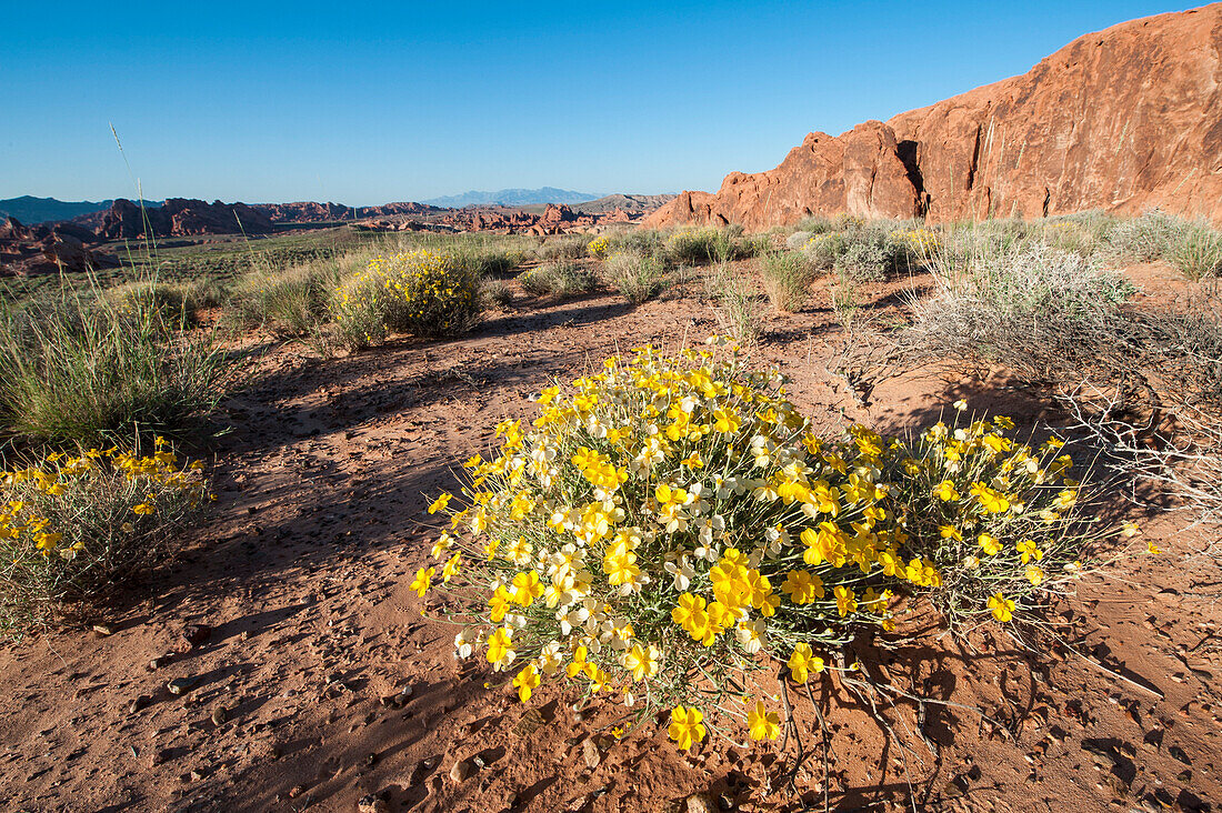 Valley of Fire State Park outside Las Vegas, Nevada, United States of America, North America