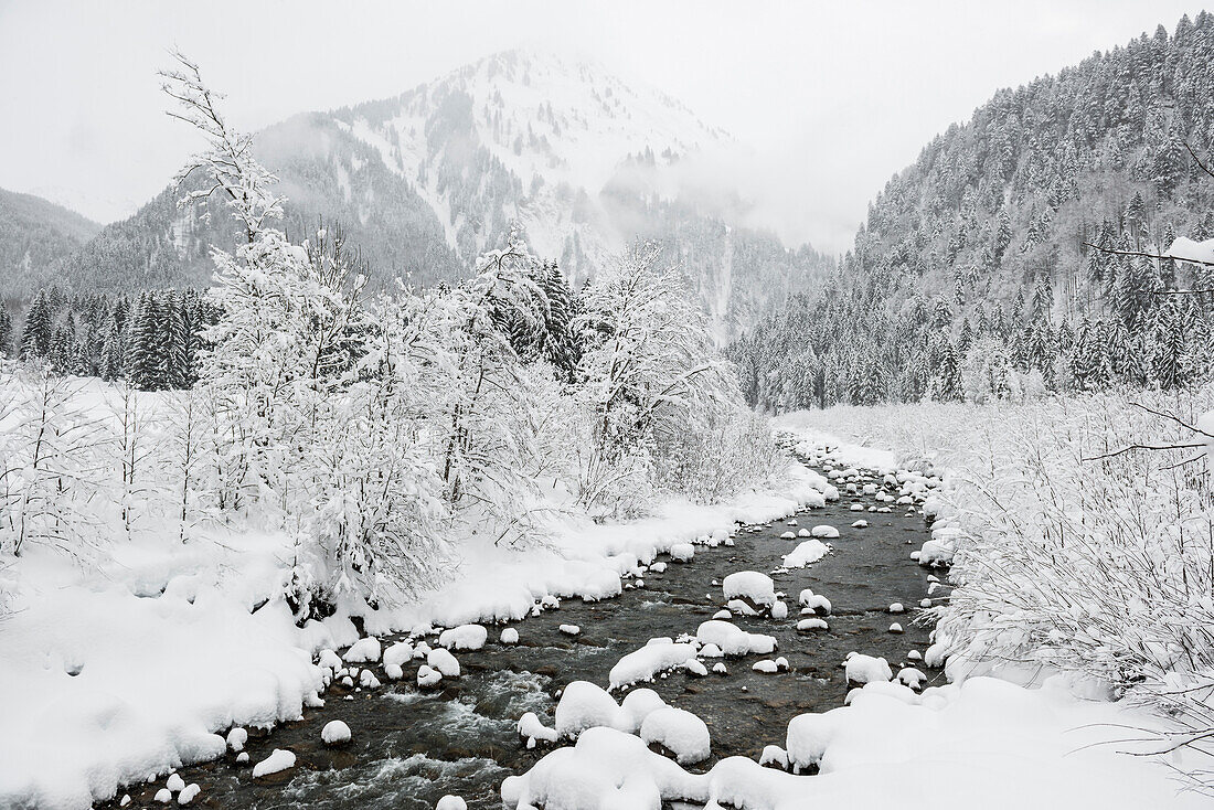 snow covered streambed near Schoppernau, Bregenz district, Vorarlberg, Austria
