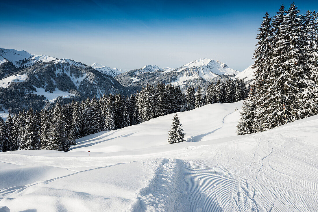 Diadamskopf ski area, near Schoppernau, Bregenz district, Vorarlberg, Austria