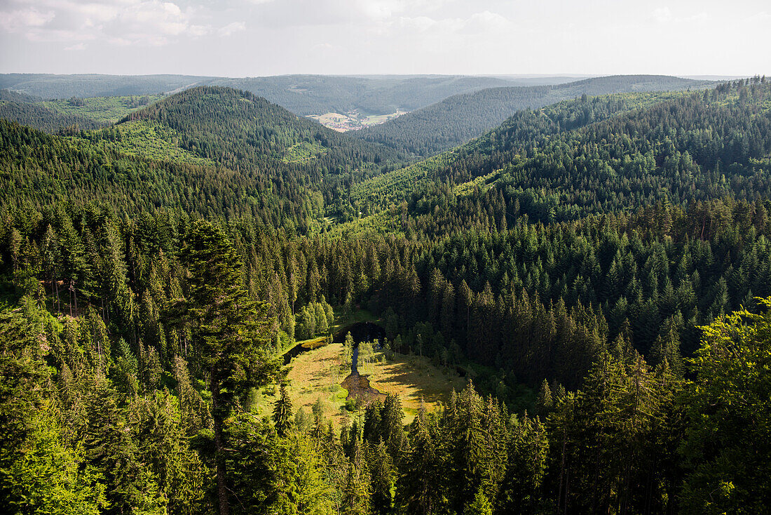 Buhlbachsee, near Baiersbronn, Black Forest National Park, Black Forest, Baden-Württemberg, Germany