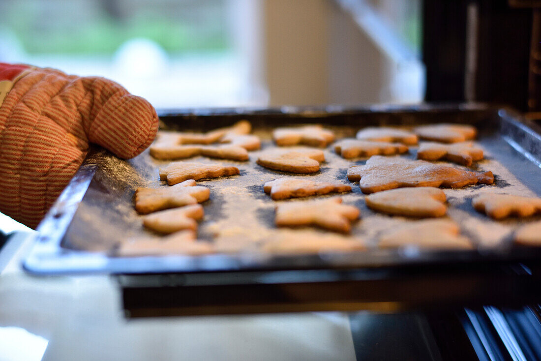 11 years old girls baking christmas cookies, Hamburg, Germany