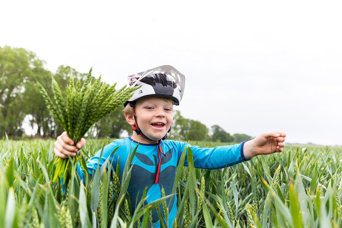 Boy in a cornfield, Family bicycle tour along the river Elbe, adventure, from Torgau to Riesa, Saxony, Germany, Europe