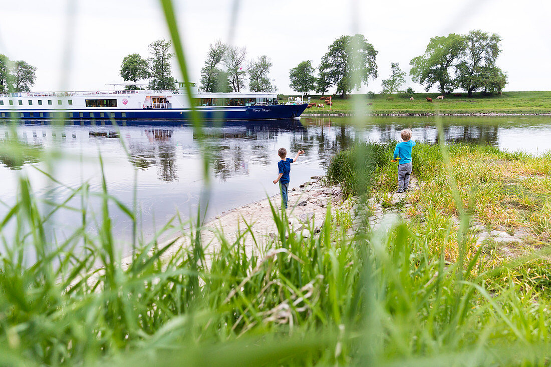 Schiff auf dem Fluss, Zelten am Fluss, Familienfahrradtour an der Elbe, Elberadweg, Flussaue, Elbwiesen, Elberadtour von Torgau nach Riesa, Sachsen, Deutschland, Europa