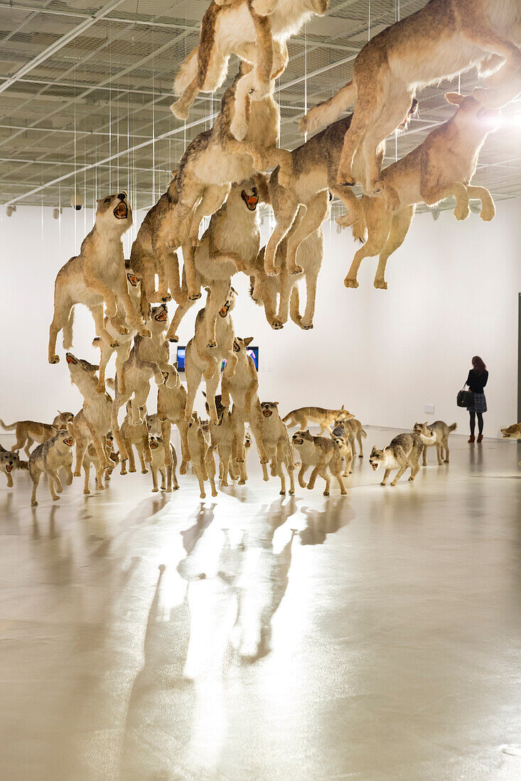 Installation Head On, wolves, visitors, exhibiton of Cai Guoqiang, Cai Guo-Qiang, The Ninth Wave, Aug 08-Oct 26, 2014, Shanghai Power Station of Art, art museum, Shanghai, China, Asia