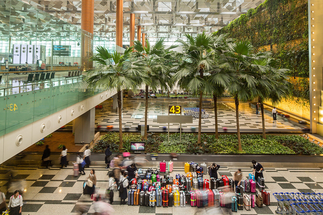 Singapore airport, Changi, lugagge, many cases, passengers, baggage claim, transit, commuters, travellers, modern, hall, terminal, green atmosphere, palm trees, conveyor belt, Singapore, Asia