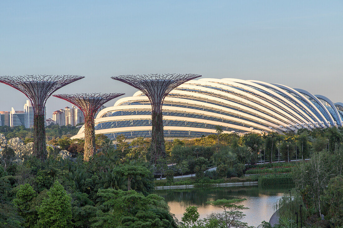 Singapore, Gewächshaus, nachempfundene Mammutbäume, Gardens by the Bay, Architektur, Parkanlage, Glashaus, Singapur