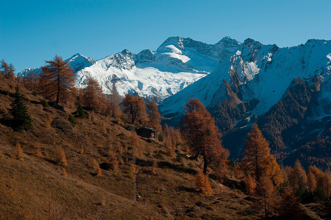 Schmirntal mit Blick auf Olperer, Tuxer Alpen, Tirol, Österreich