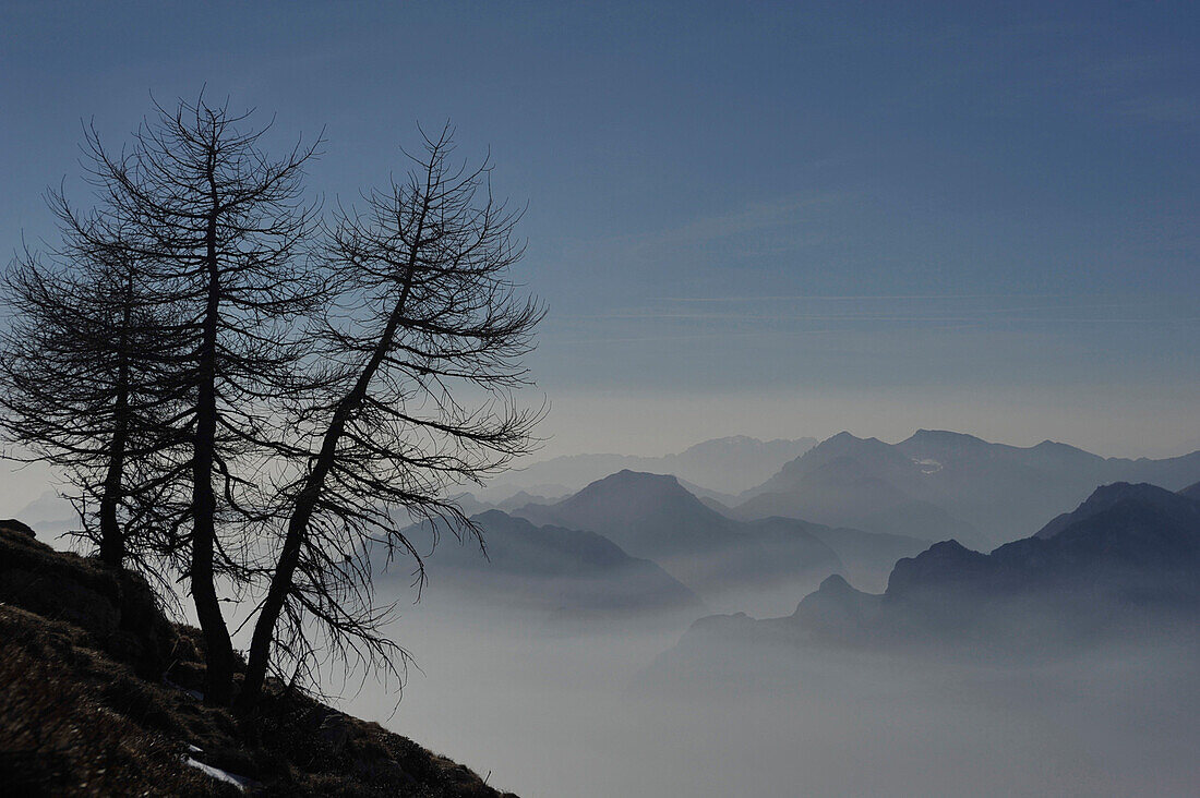 Cima Creino, view to the Adamello, Trentino, Italy