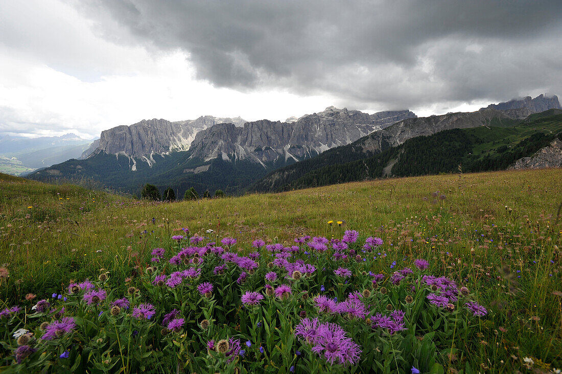 Peitler meadows, View to Campill Valley, Geisler Group, Dolomites, South Tyrol, Italy
