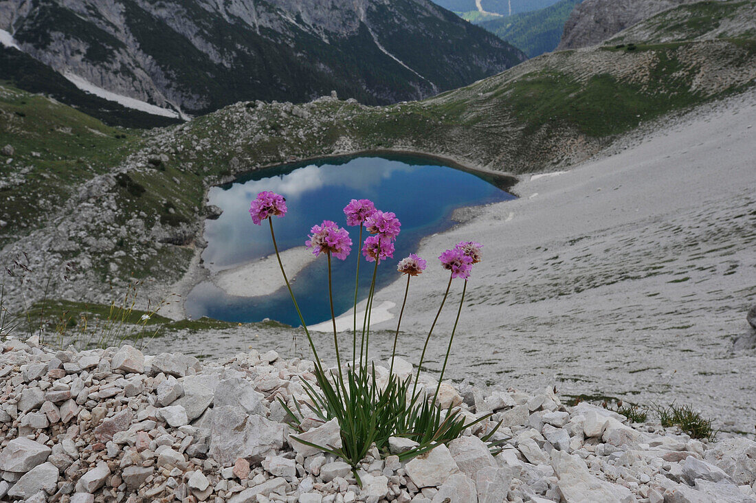 Mountain lake on the Boeden Alps, Sexten Dolomites, South Tyrol, Italy