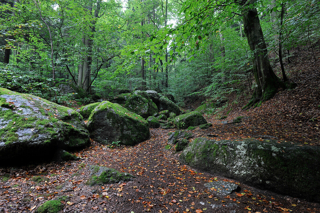 Ysper Klamm in Yspertal, Melk, Niederösterreich, Österreich