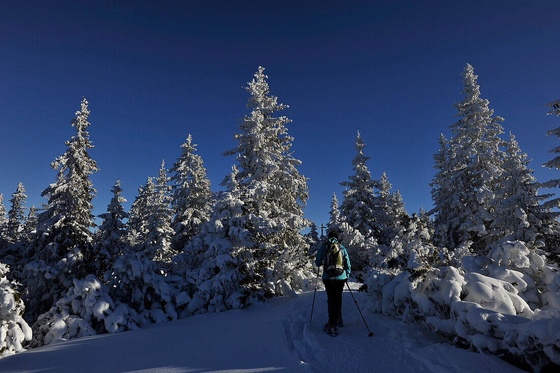 Schneeschuh Wandern am Gleinser Berg, Stubaier Alpen, Tirol, Österreich