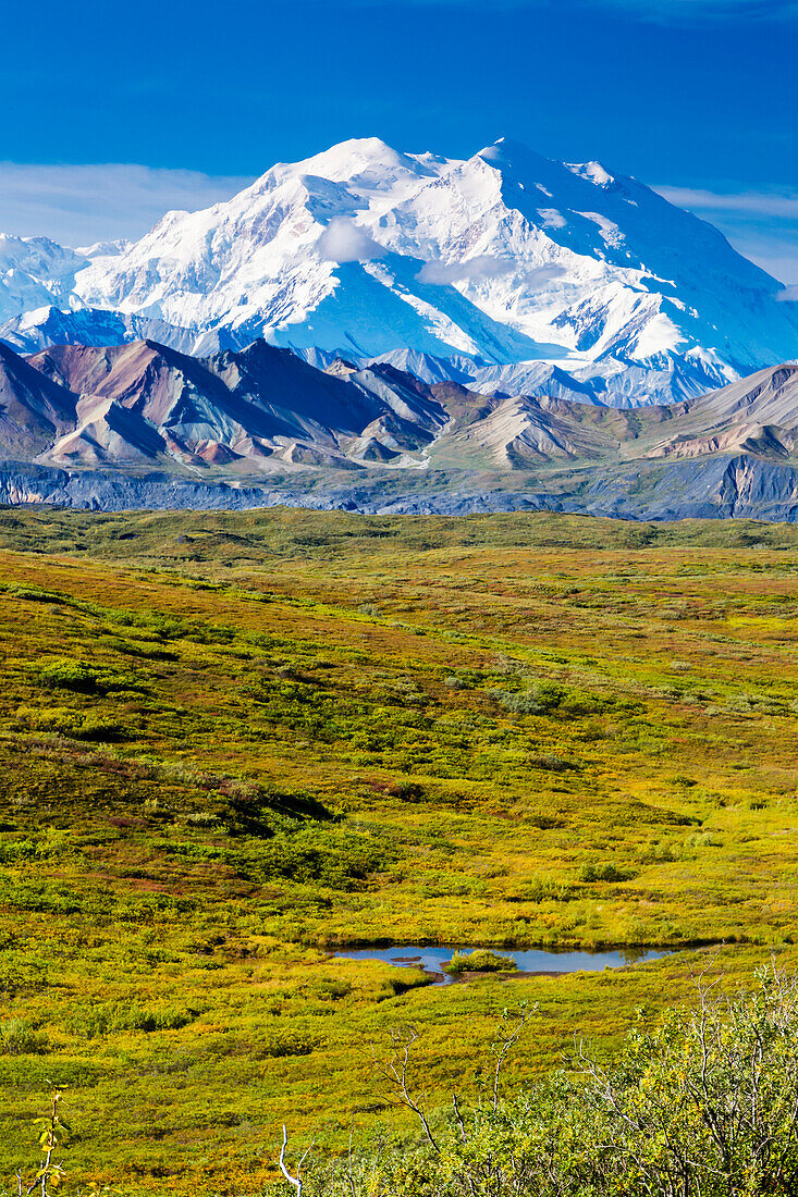 Scenic view of Mt. McKinley with the tundra covered Muldrow Glacier and tundra pond in the foreground, Denali National Park, Alaska, United States of America