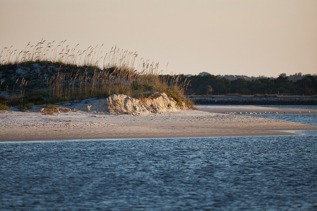 Beach with sand dunes and plants growing on them, viewed from the water at sunset, United States of America