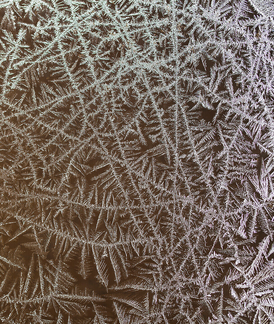 Frost on window, Waterloo, Quebec, Canada