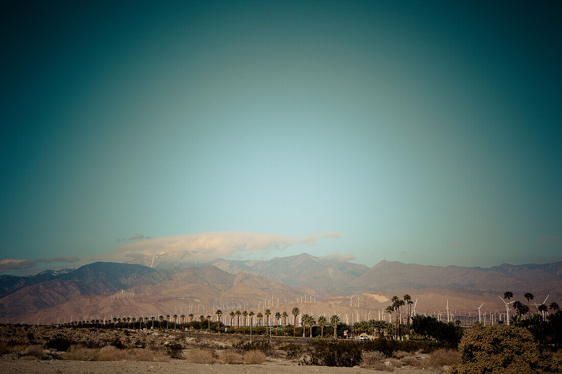 Palm trees against a turquoise sky and arid mountains in the background with wind turbines, Palm Springs, California, United States of America
