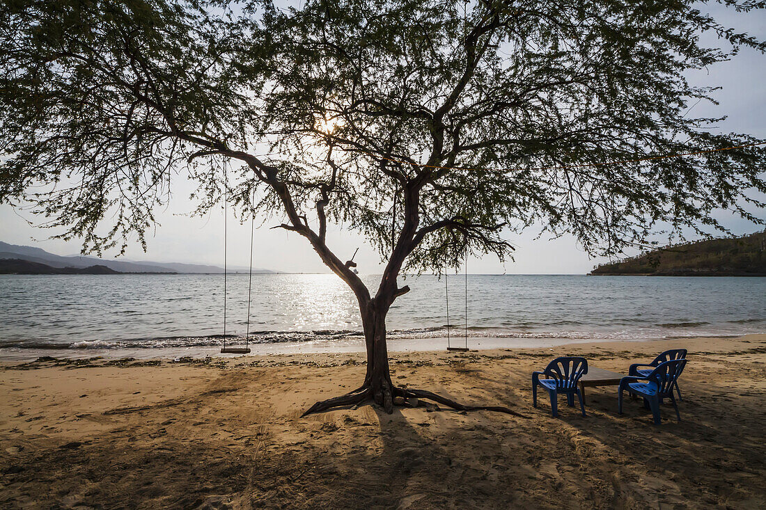 Chairs and tree in Areia Branca beach, Dili, East Timor