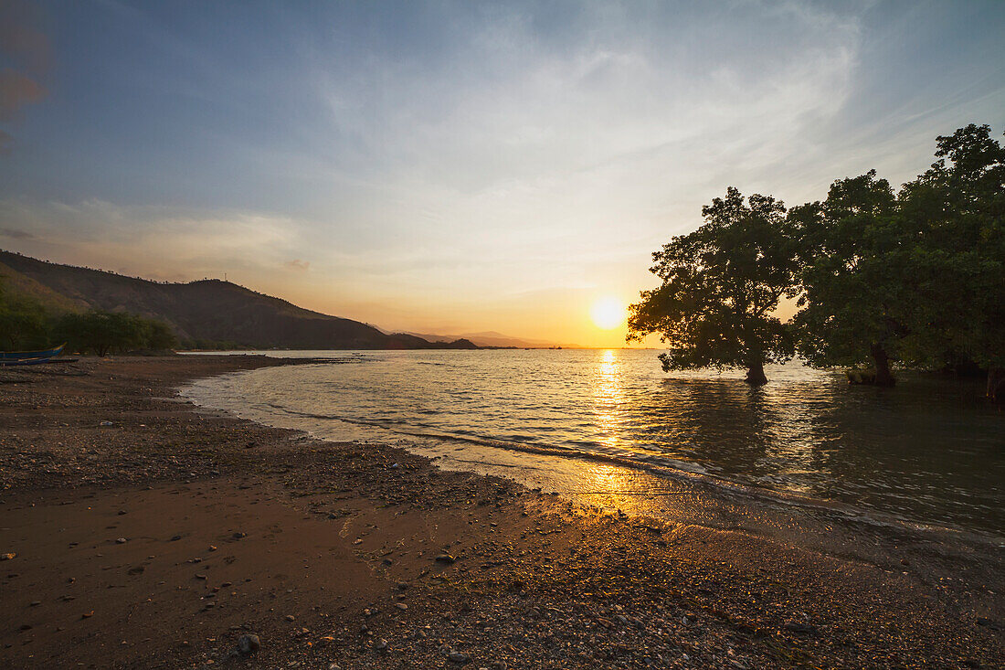 Mangroves in Aria Branca at sunset, Dili, East Timor