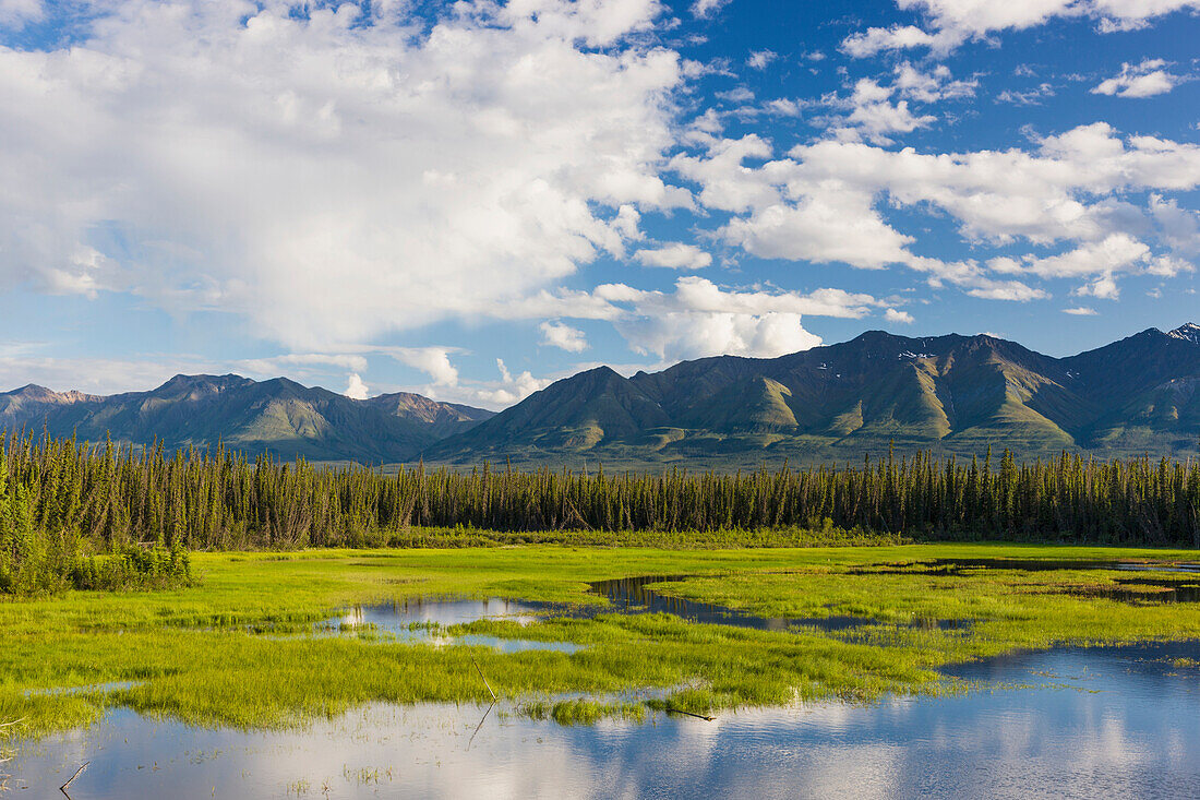 Scenic view of wetlands and mountains north of Kluane Lake, Yukon Territory, Canada, Summer