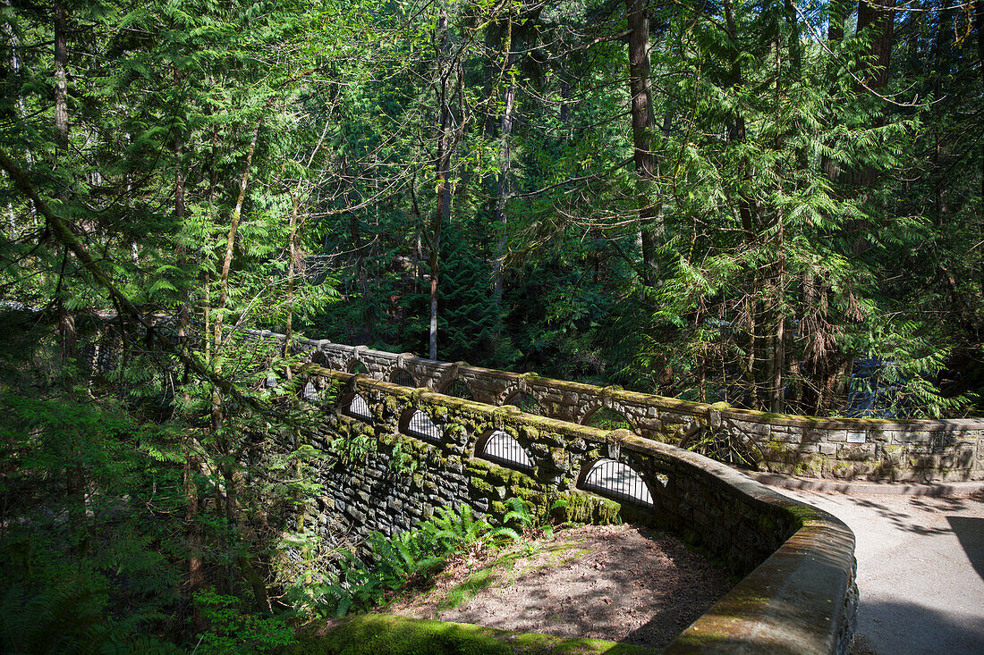 View of the bridge over Whatcom Falls, Bellingham, Washington, Summer