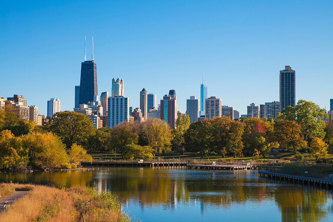 Chicago skyline from Lincoln Park Zoo, Chicago, Illinois, United States of America